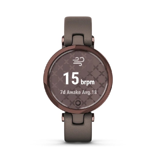 Garmin Lily Classic Leather